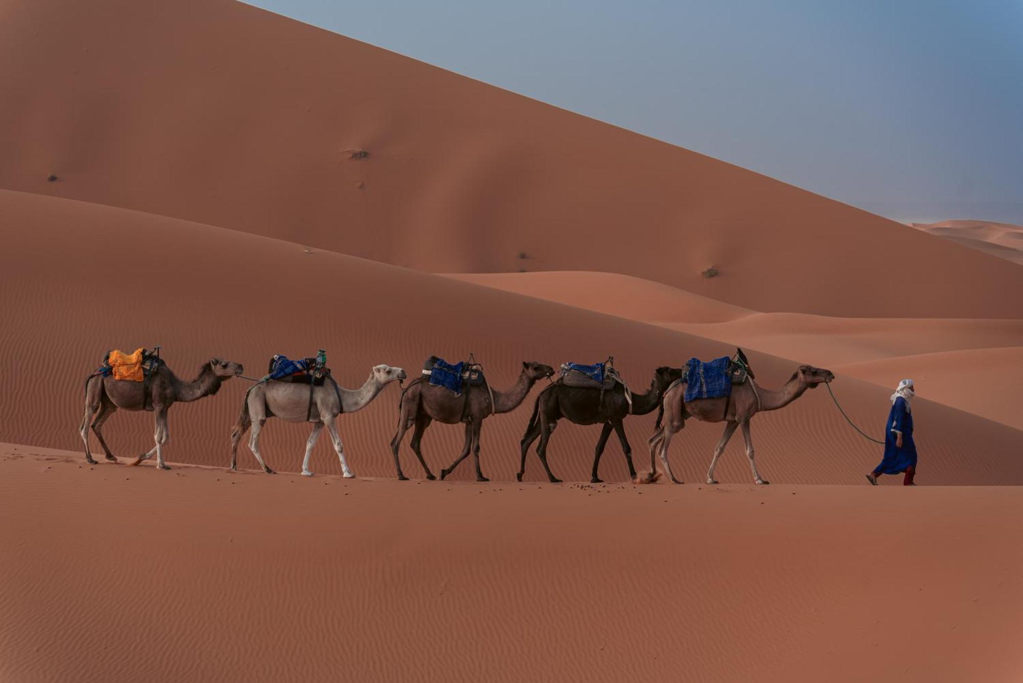 فندق Sahara Dream Luxury Camp مرزوكة المظهر الخارجي الصورة