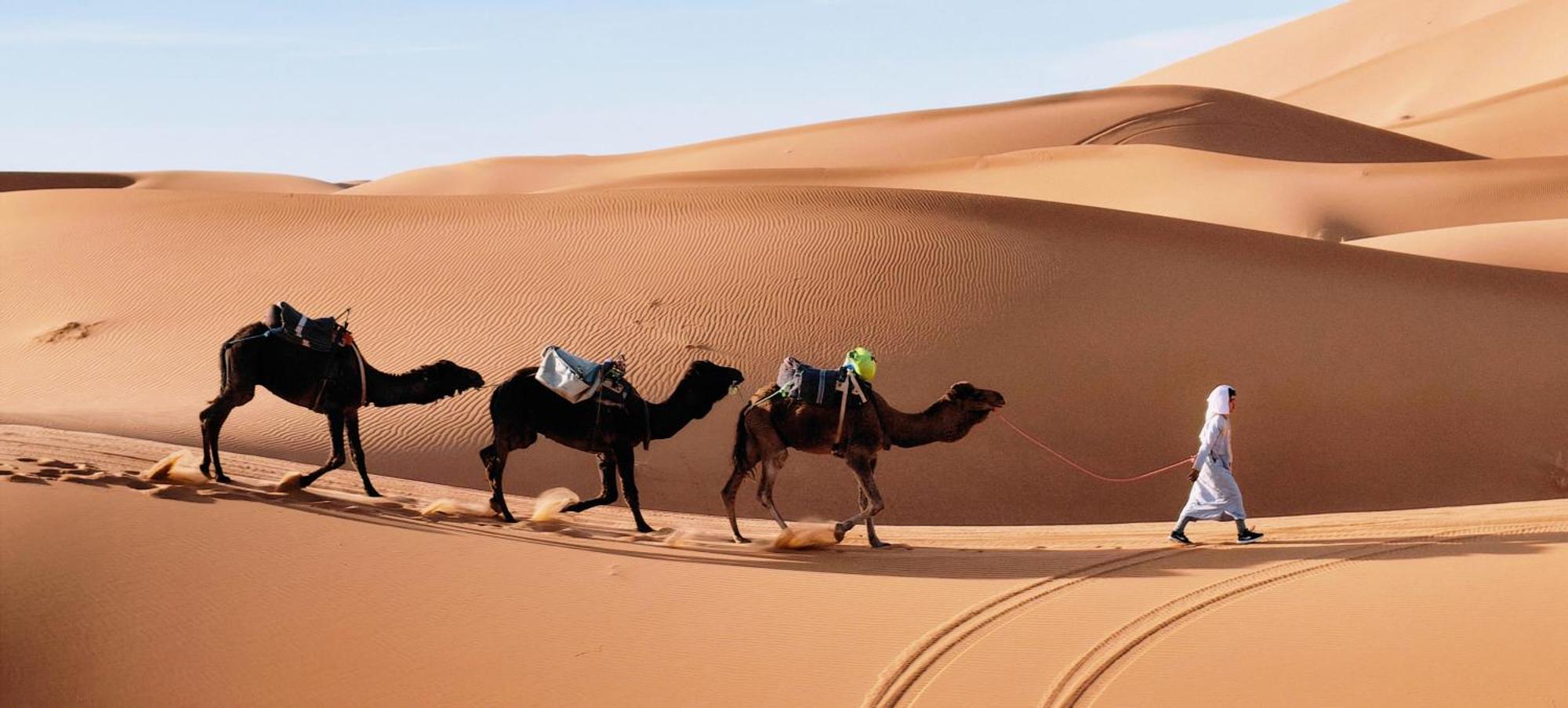 فندق Sahara Dream Luxury Camp مرزوكة المظهر الخارجي الصورة